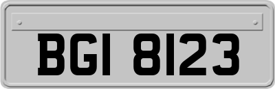 BGI8123