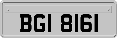 BGI8161