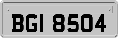 BGI8504