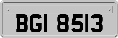 BGI8513