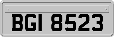 BGI8523