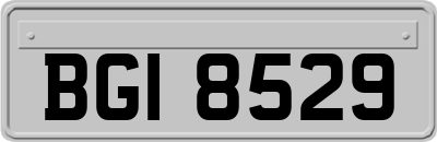 BGI8529