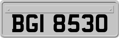 BGI8530