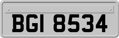 BGI8534