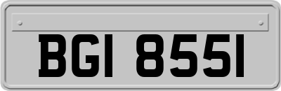 BGI8551