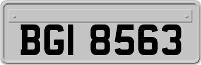 BGI8563