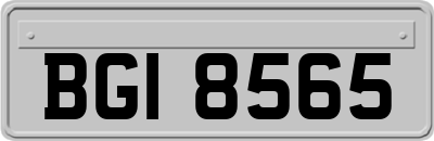 BGI8565