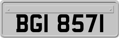 BGI8571