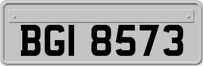 BGI8573