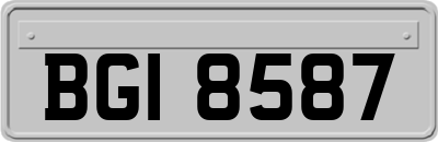 BGI8587