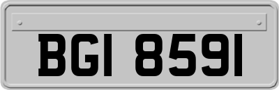 BGI8591