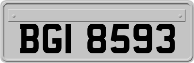 BGI8593