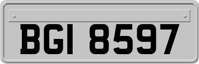BGI8597
