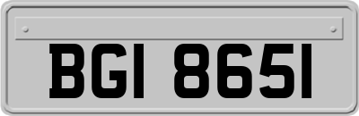 BGI8651