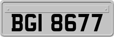BGI8677