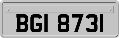 BGI8731