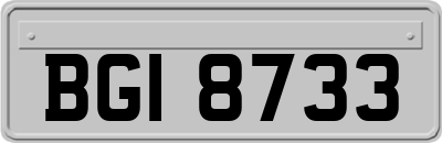 BGI8733