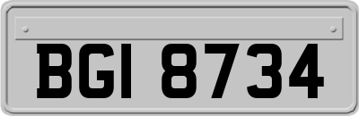 BGI8734