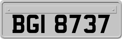 BGI8737