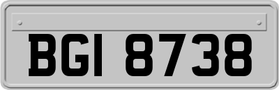 BGI8738
