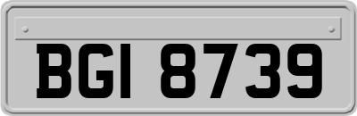 BGI8739
