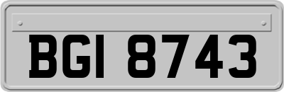 BGI8743