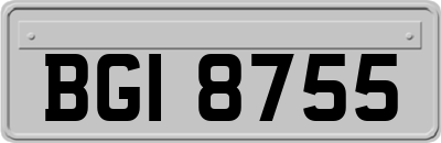 BGI8755