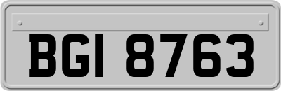 BGI8763