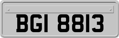 BGI8813