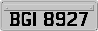 BGI8927