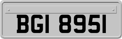 BGI8951
