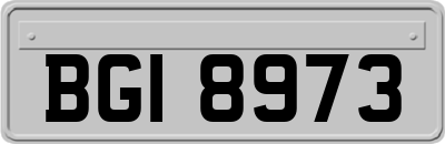 BGI8973