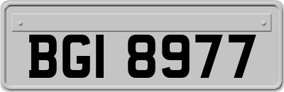BGI8977