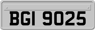 BGI9025