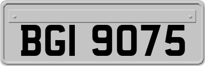 BGI9075