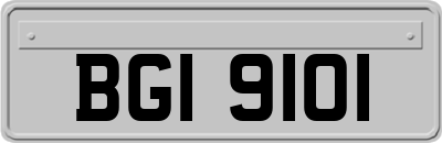 BGI9101