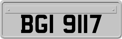 BGI9117