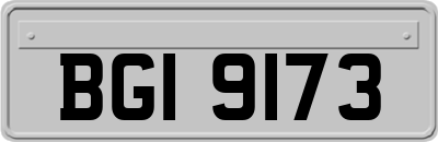 BGI9173