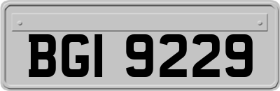 BGI9229