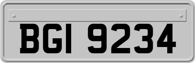 BGI9234