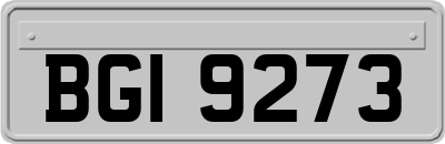 BGI9273
