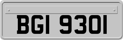 BGI9301