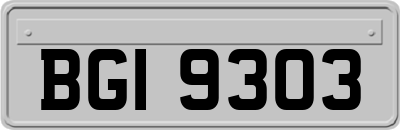 BGI9303