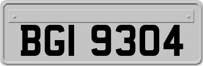 BGI9304