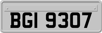 BGI9307