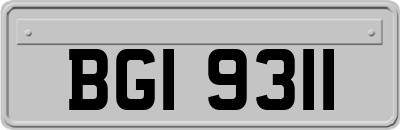 BGI9311