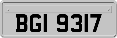 BGI9317