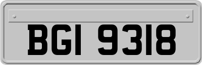 BGI9318