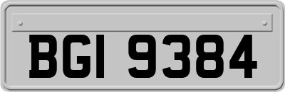 BGI9384