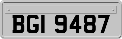 BGI9487